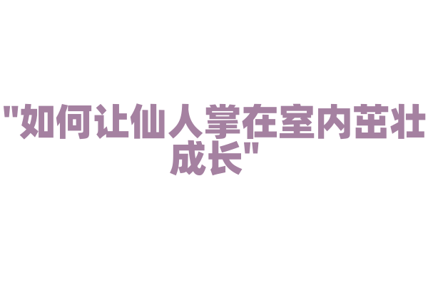 "如何让仙人掌在室内茁壮成长"
